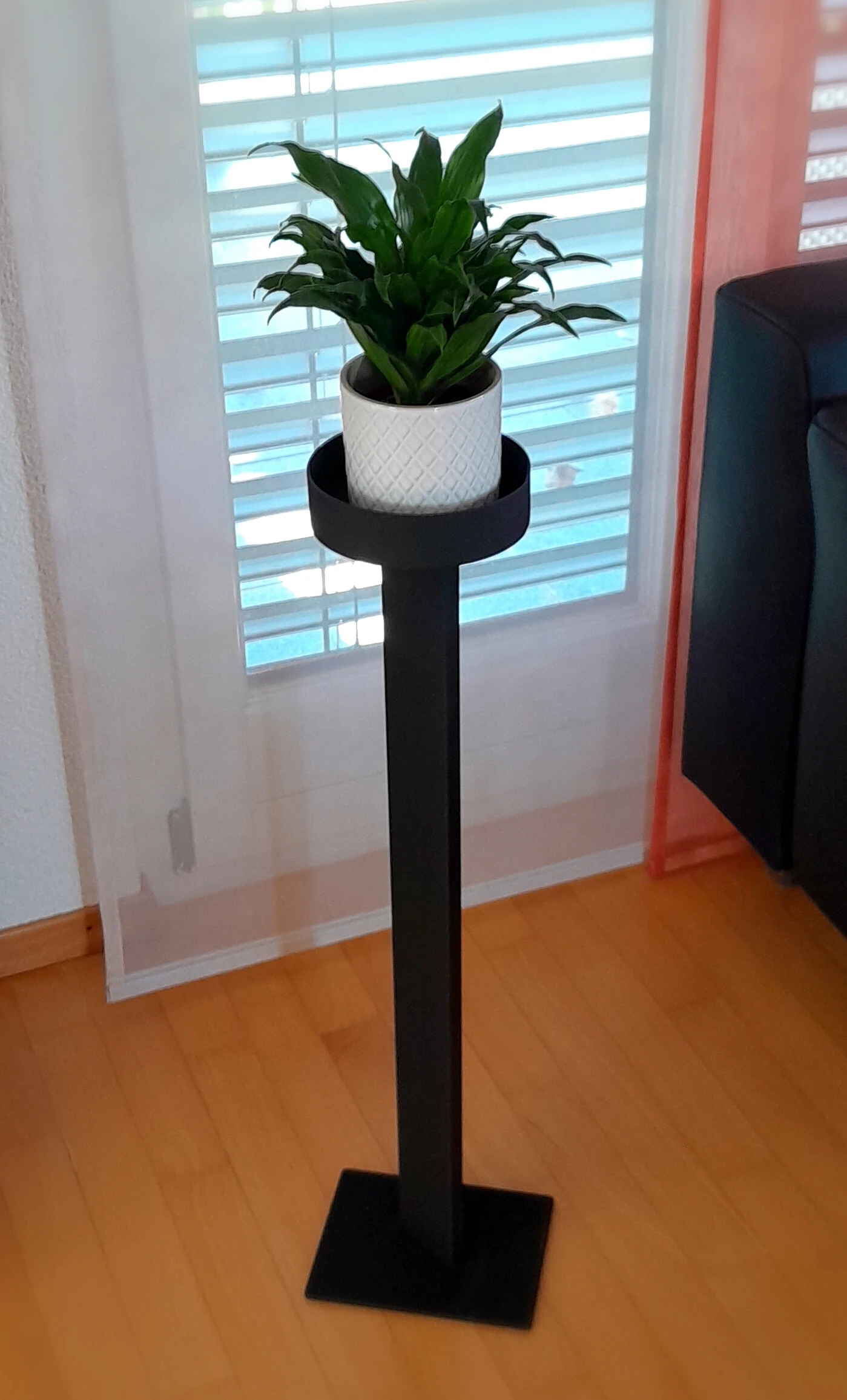 DG Model C